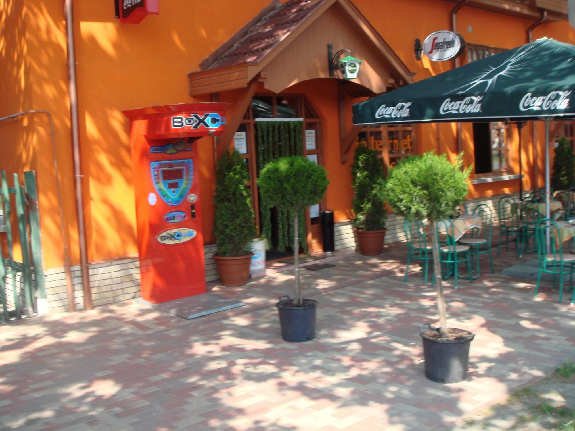 Platan Panzio Bed and Breakfast Nagyszenas Exteriör bild